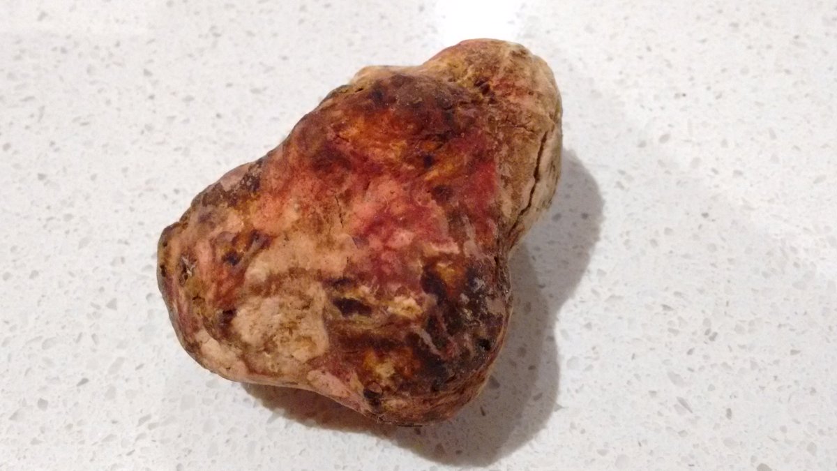 truffletraders's tweet photo. Did you know the red color on the truffle means that it grew up from a beech tree? #truffle https://t.co/0BXR1YnvGs