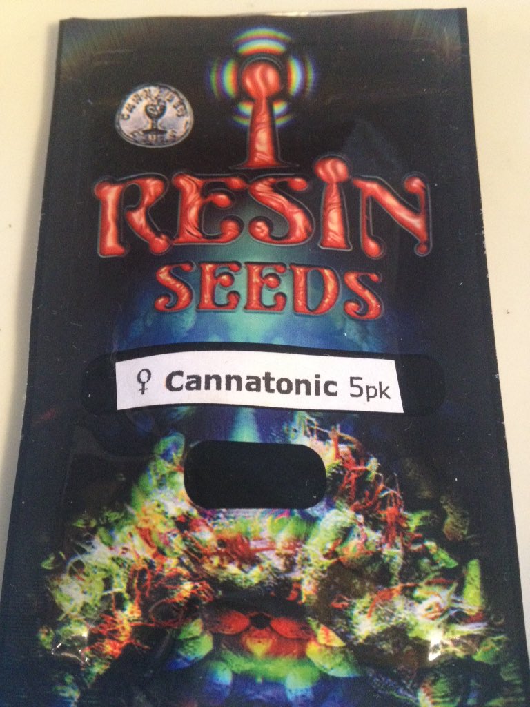 FLCBudz's tweet photo. #resinseeds #cannatonic #dieseltonic #CBD hunting #stoner #stonerlife https://t.co/fTA4c7szVV