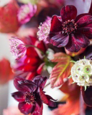 RonaWheeldon's tweet photo. Beautiful images by @thefloralalchemist of our #socialforflorists workshop last week are f… https://t.co/YWLHJjlrOz https://t.co/I8ZSCq6a4l