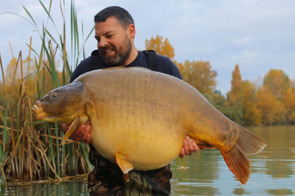 Buzz has just had Ziggy Stardust at 64lb from Alcatraz #carponlybigger #teamkorda