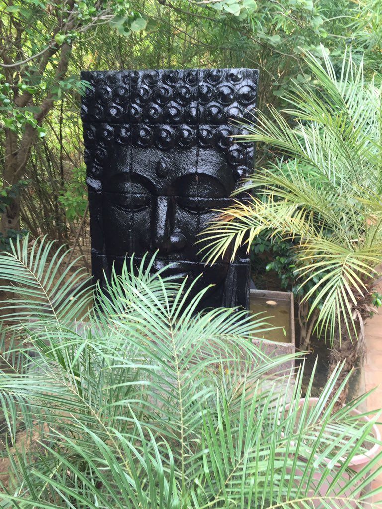 dil_13_te_80_ve's tweet photo. #treehouseresort #naturebeauty Loving it ๐ https://t.co/9Tz4AMrYET