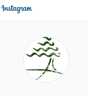 We're on Instagram now! Come and check us out to keep up with everything going on at Cypress Bend. #followback