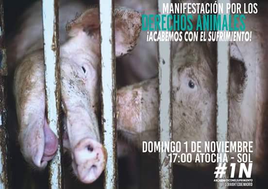 AlteaLaSueca's tweet photo. Y el domingo #1N también toca mani, esta por los #DerechosAnimales cc/ @STRAIGHTEDGEMAD https://t.co/ijuqyf2OWj