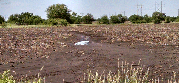 KStateAgron's tweet photo. Reduce runoff and erosion from conventional-till fields by using the latest BMP's from KSU! https://t.co/FMP1ppvRrM https://t.co/6oY3tG4QEd