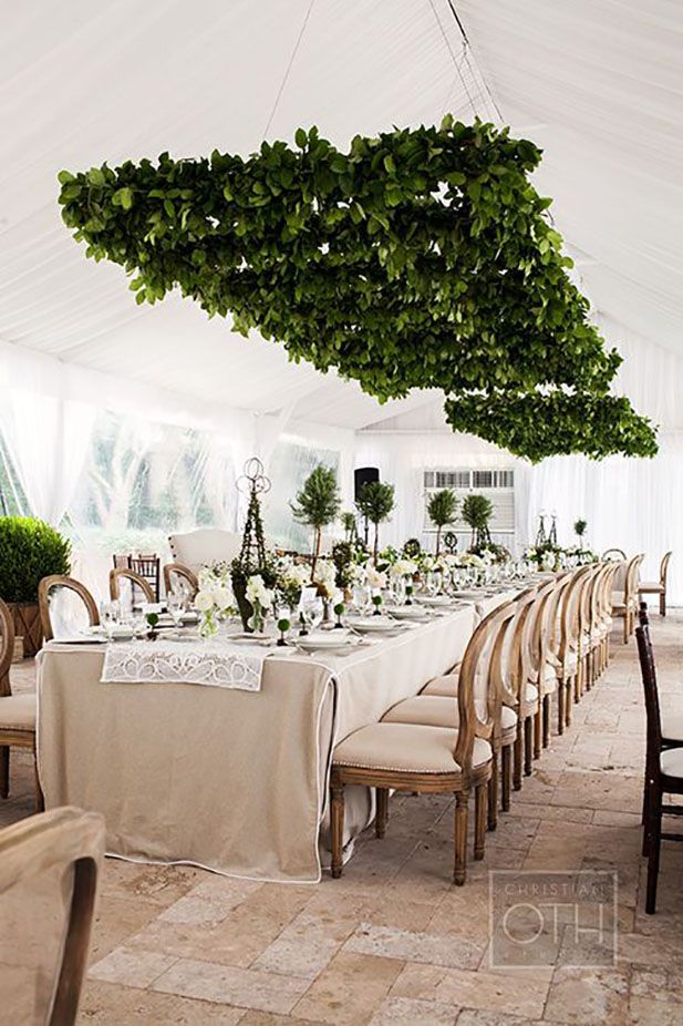 DivazEvents's tweet photo. Eco trend of the Month. #TheDivazWay https://t.co/i6QG1Pd67B