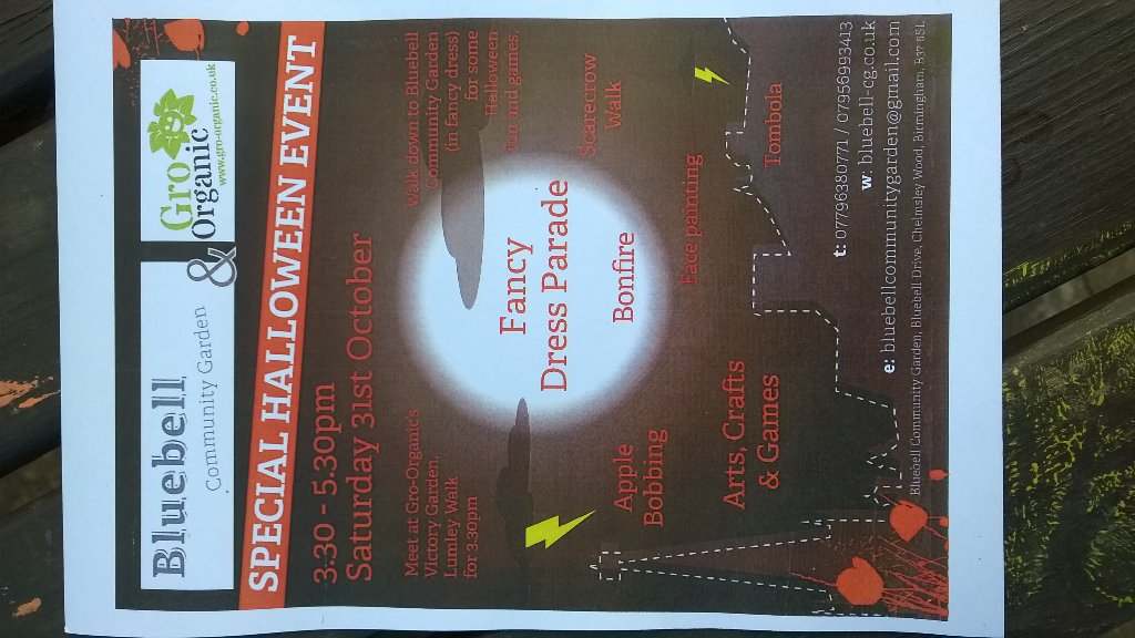 bluebellCG's tweet photo. Have you seen our flyer for Halloween? Come and visit. https://t.co/E1FeyCEPGL