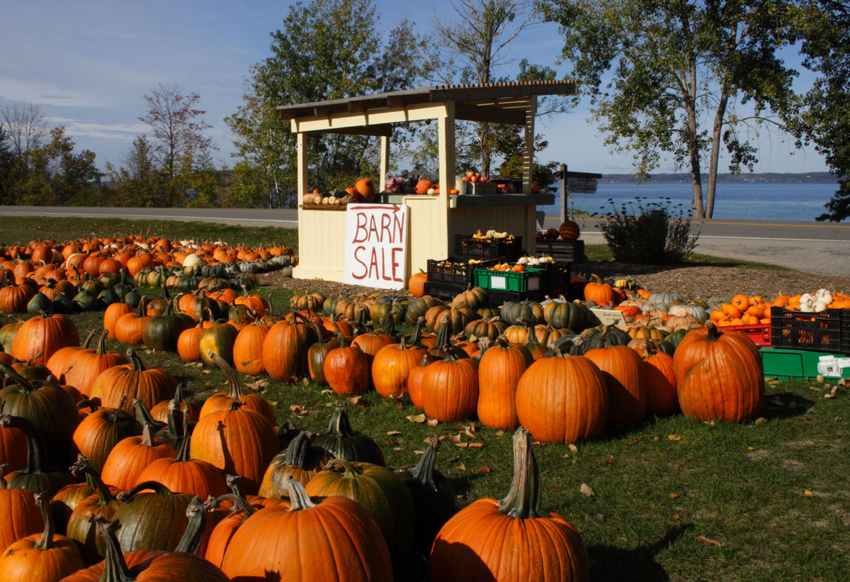 TravelLeisure's tweet photo. These are the best towns for celebrating Halloween: https://t.co/OpwPH3aLtP https://t.co/fbJmrsHz1S