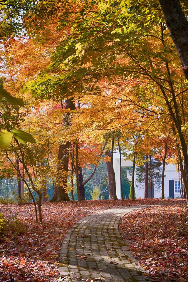 berrycollege's tweet photo. Show us your "fall at Berry" pictures by using #fallatberry on Twitter and Instagram! https://t.co/ncSVcP0g8w