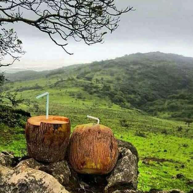 aabbaa446's tweet image. صلالة للسياحه 0096895176179