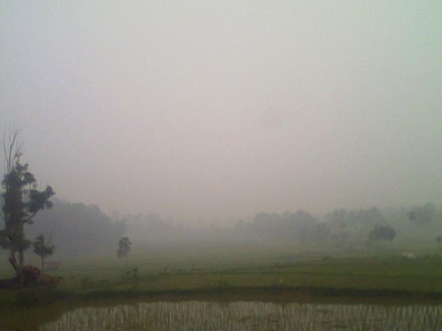 andre_aply tweet picture