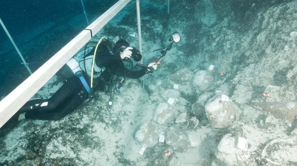 VeniceToExpo's tweet photo. Oggi alle 15.00 con l'Università @CaFoscari per parlare di #Archeologia in #Laguna https://t.co/VqumFS8in4 https://t.co/x89w2U0Ins