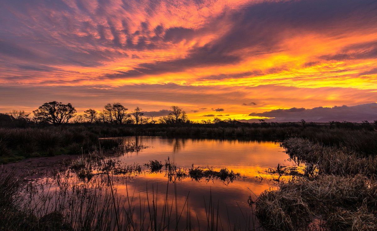 #Anglesey sunrise surprise! @ruthwignall <a href="/Sue_Charles/">Sue Charles</a> <a href="/DerekTheWeather/">Derek Brockway - weatherman</a> <a href="/bbcweather/">BBC Weather</a> <a href="/itvweather/">ITV Weather</a>