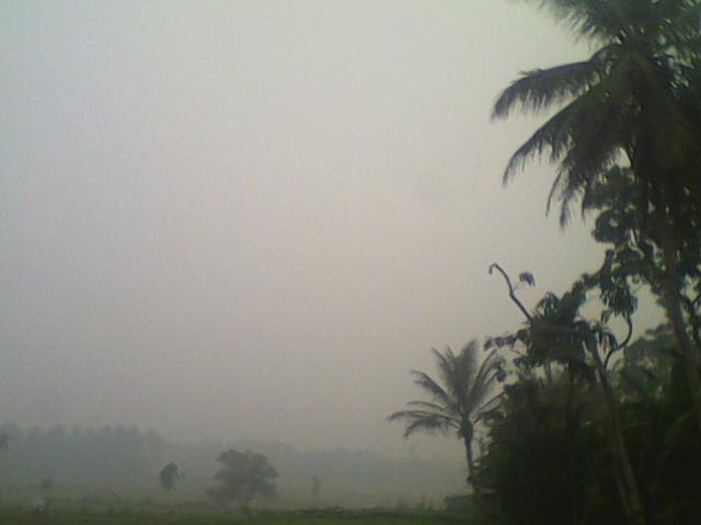 andre_aply tweet picture