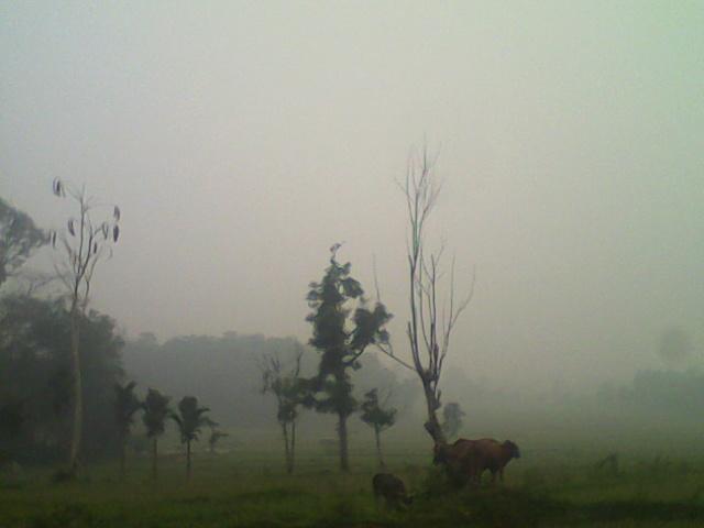 andre_aply tweet picture
