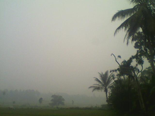 andre_aply tweet picture
