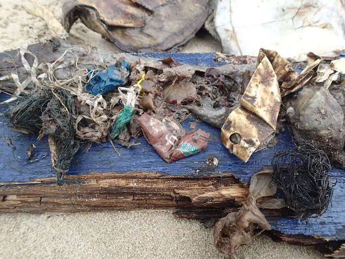 View image on Twitter