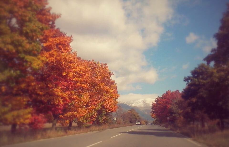 GayHolidaysInBG's tweet photo. The beautiful Autumn in Bulgaria #gay #Bulgaria#autumn #gaytravel #gaybulgaria🇧🇬 #gaysofia #gayholidaysbulgaria https://t.co/rRYTXAeIcI