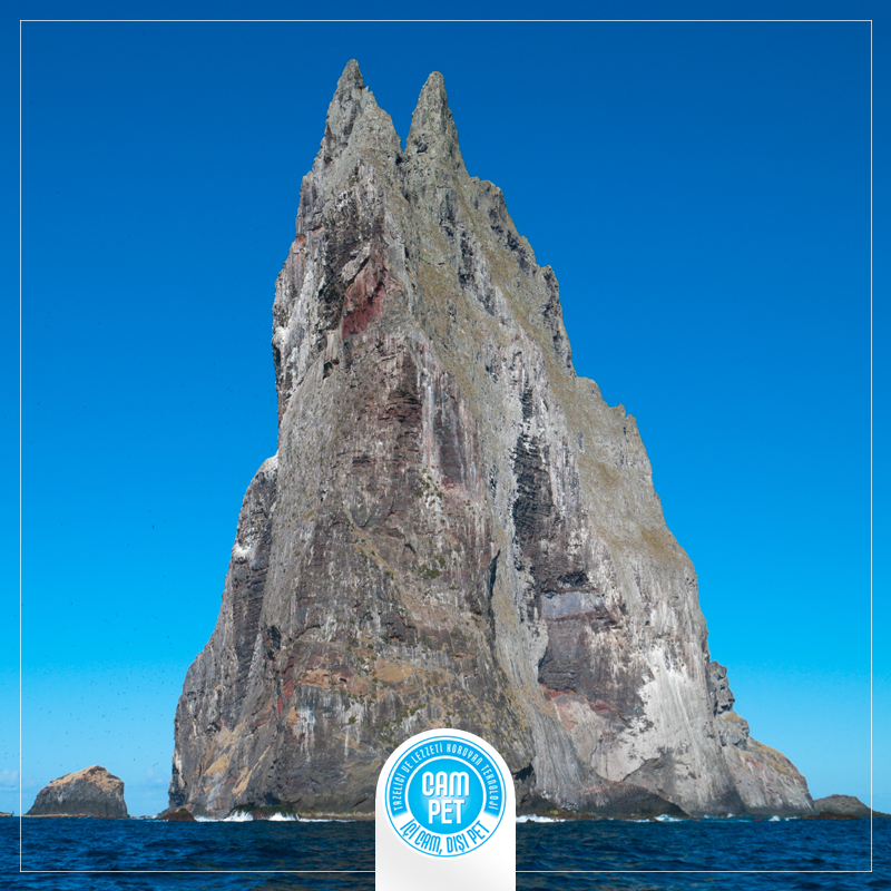 campetsise's tweet photo. Avustralya'da Lord Howe Adası'nın yakınında bulunan 560 metrelik Ball Piramidi, Dünya’nın en yüksek deniz tepesidir. https://t.co/sYVKeudL6P
