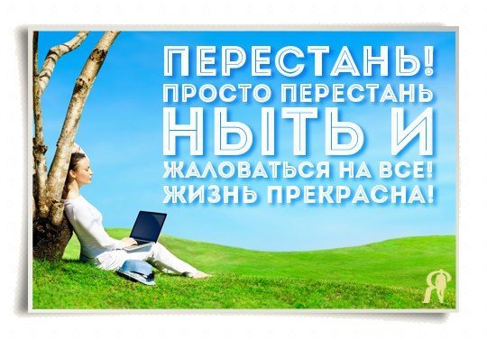 Светлана Комарова tweet media