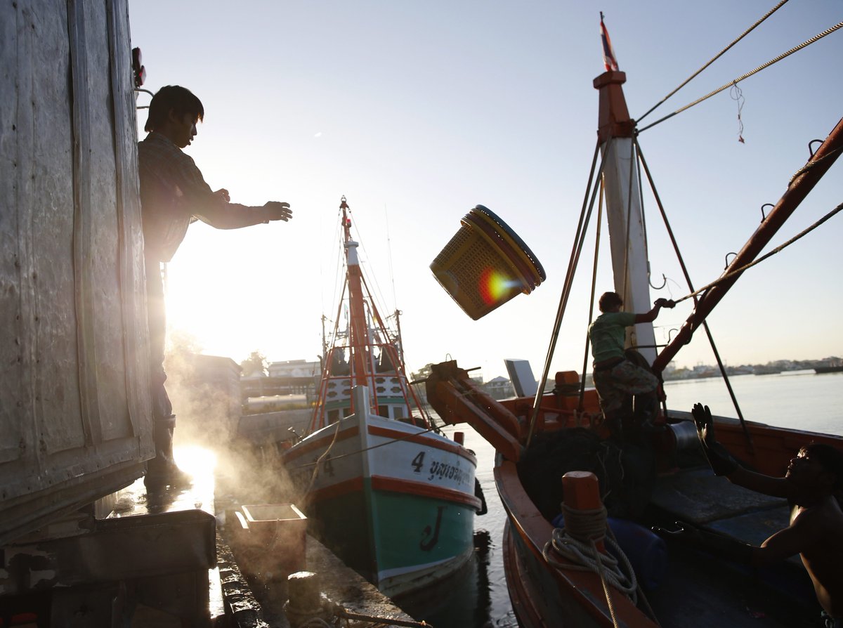 KhaosodEnglish's tweet photo. Thousands of Unregistered Fishing Trawlers Held in Port
https://t.co/OTk15Td8dt https://t.co/dktfI0Yc7k