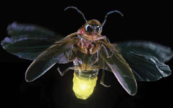 Tennyson tweet media