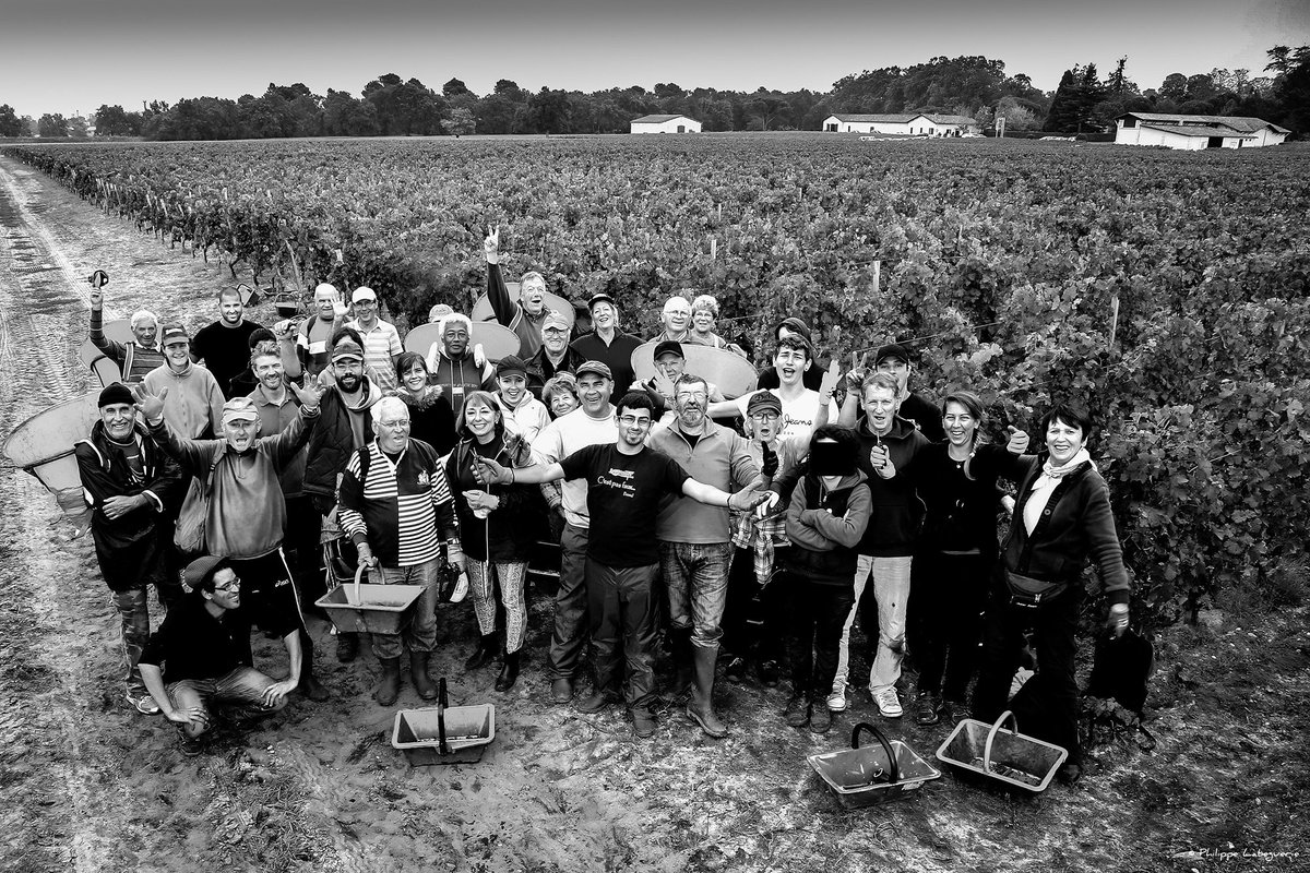 ChateauBrown's tweet photo. #Vendanges2015 terminées le 13 octobre : l'occasion d'un premier bilan
https://t.co/aSB8wARJsO https://t.co/47UKtjDwd5