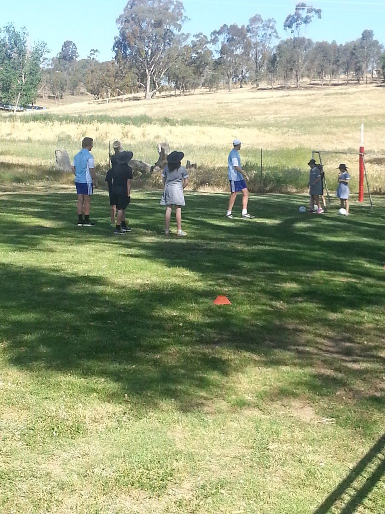 Playing #sheepstations with a flock in the other paddock @MelbourneCITC <a href="/SportingSchools/">Sporting Schools</a> <a href="/FFA/">Football Aus</a> all part of the fun