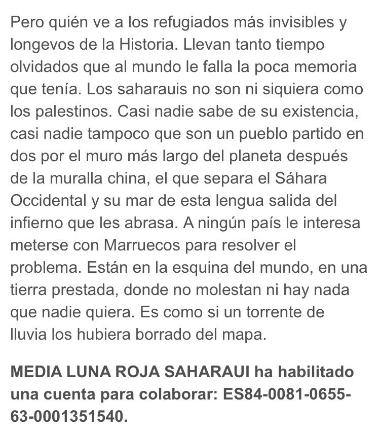 AlbertoRubioA's tweet photo. 25.000 saharauis se han quedado sin hogar, 90.000 están afectados. https://t.co/ZKOihpy3AQ Por @carnecrudaradio https://t.co/Gn31R5w6fC