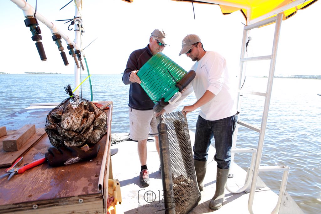 foodseennc's tweet photo. Read more about Food-Seen, local NC farmers &amp; fisherman and @SouthernFoodsNC on our blog! https://t.co/y01QZk79RZ https://t.co/pUTLkNhBEi