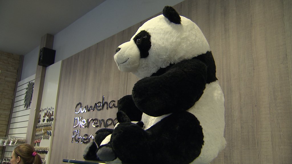 RTLnieuws's tweet photo. OM 12:00 uur live  persconferentie Ouwehands Dierenpark over komst Chinese reuzenpanda's. 
https://t.co/L9uhqhTDEf https://t.co/9GAqigihRD