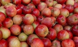 READY CHEF tweet media