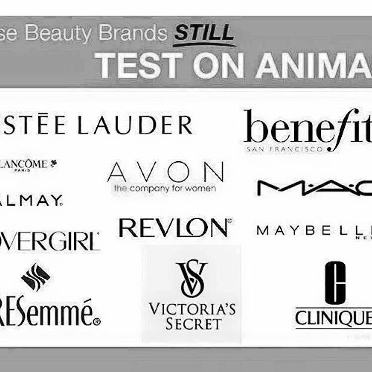 YouByAriane's tweet photo. Meine Kosmetik soll durchtanze Nächte wegzaubern, nicht die Tiere unserer Erde.
#youbyariane #noanimaltests #beauty https://t.co/3FY8bu2eJZ