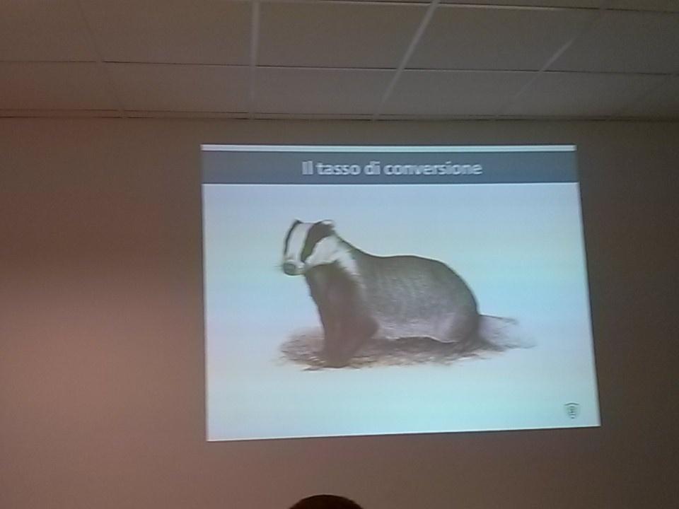 ECommAcademy's tweet photo. Conversion Rate e zoologia da E-commerce Academy :) https://t.co/NRwOG1ObbF