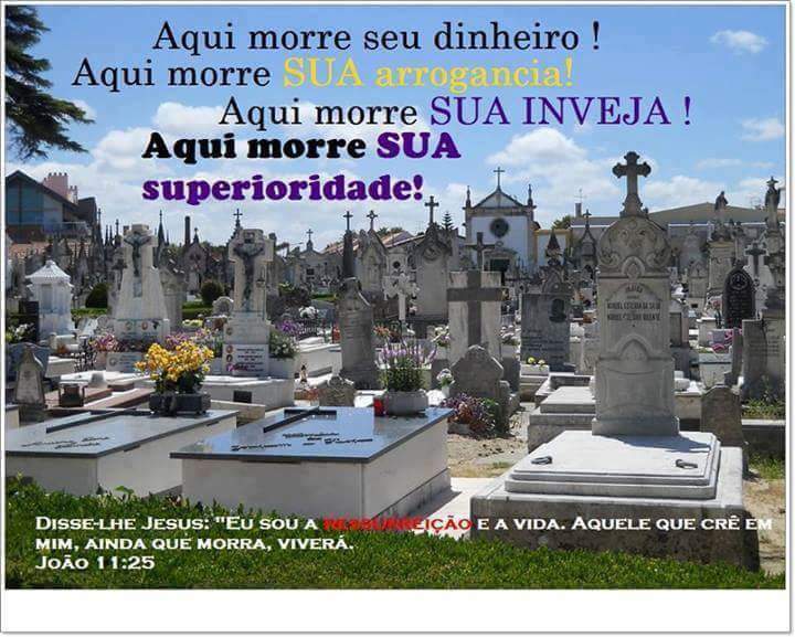 alex araujo# beta (@jamesdatrato) on Twitter photo 