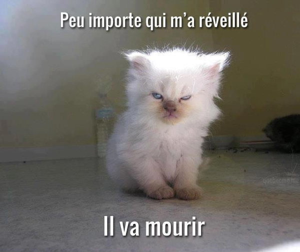 Ruiz_Mickael's tweet photo. @SaraawhR Quand tu réveille papa de la sieste https://t.co/g8r4S26eSQ