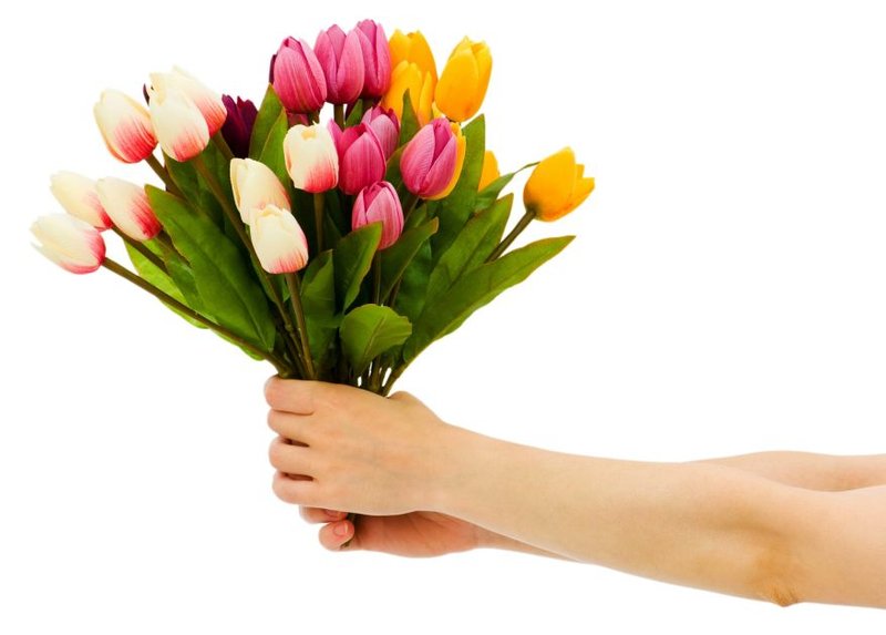 Medikad's tweet photo. Een bloemetje voor alle mensen werkzaam in de ergotherapie! #WED2015 https://t.co/sEXJrqjeRO