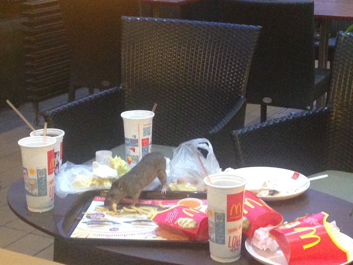 katepeter's tweet photo. @McDonalds #mcdonaldsBangkok I see #ratatouille is flipping patties these days. Must pop in for one soon. https://t.co/833i5TxOHk