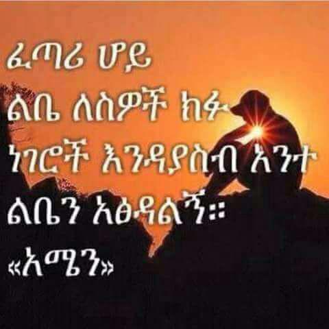 ሰአዳ ሰይድ (@sasadaseid) on Twitter photo 