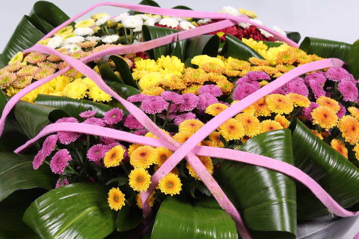 Gefeliciteerd kwekerij <a href="/landscheiding/">LS Santini</a> met de nominatie voor de Dutch Flower Award 2015 van @DutchFlowerGr 
#santini