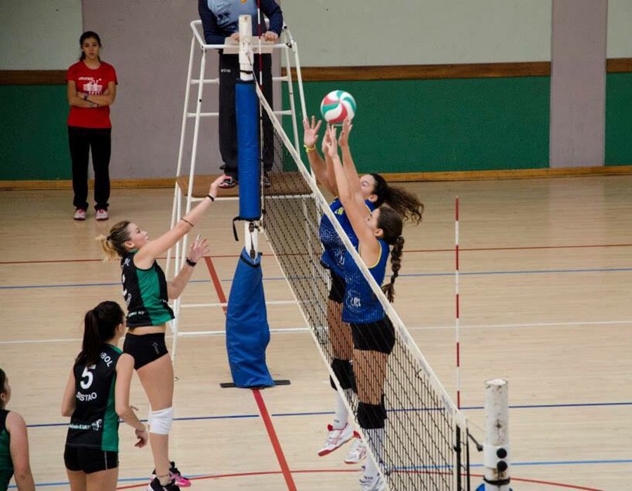 Videona_es's tweet photo. Patrocinamos al equipo @LasRozasVoley https://t.co/7ZYx4U9MYi Por @ArmasdeMujer https://t.co/qxM46mx4bO