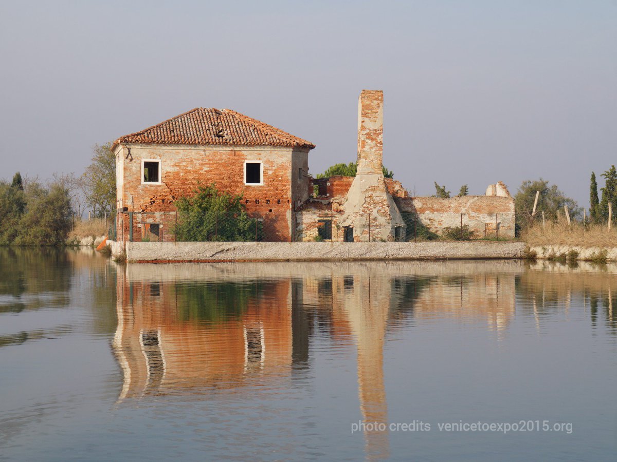 VeniceToExpo's tweet photo. Grazie @ATNLagunaSud per averci accompagnato nella magia della #Laguna di #venezia Arrivederci in primavera! https://t.co/HgHkw3YpqE