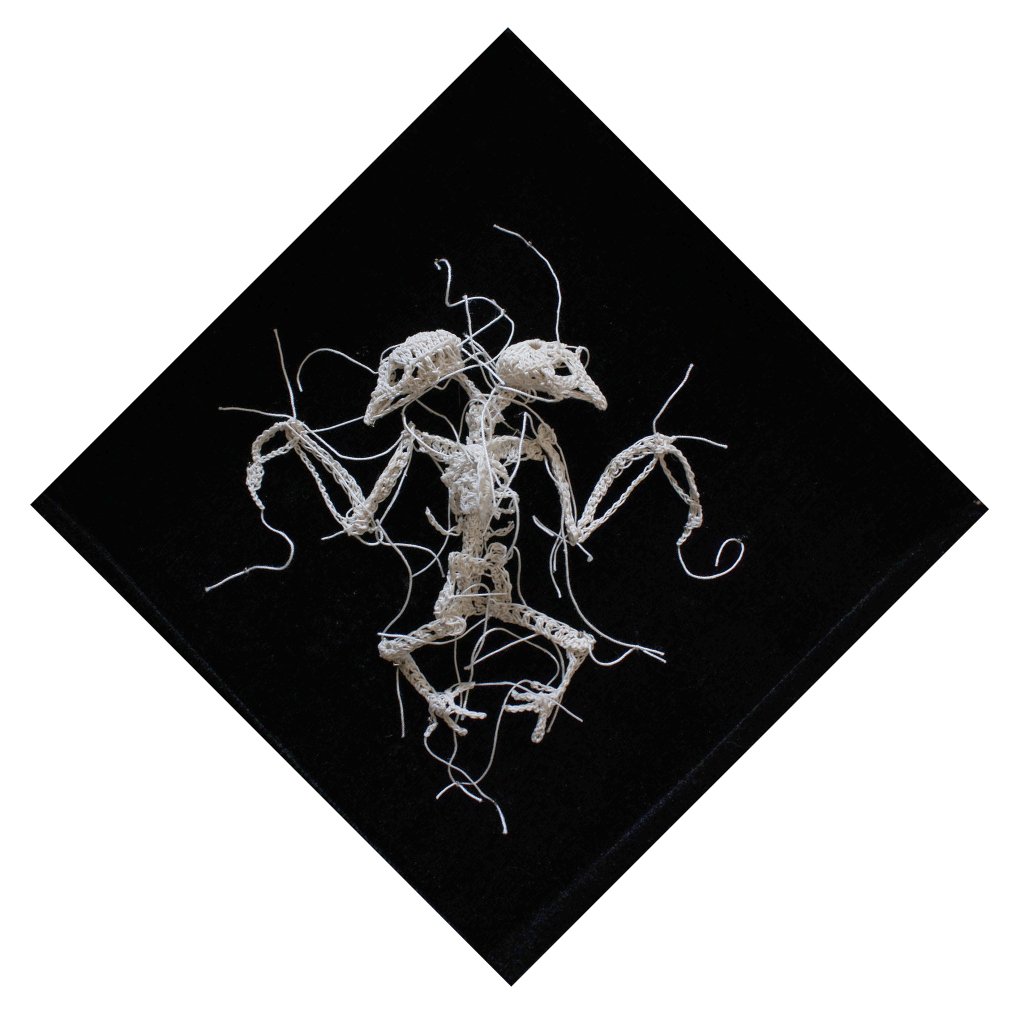 CuratorialCollective tweet media