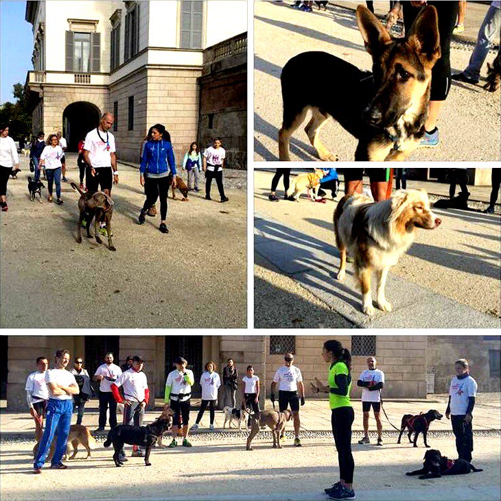 BrooksRunningIT's tweet photo. 5 consigli per correre con il tuo cane by #DogRunningSchool https://t.co/H2pAmZuwJL #runhappy #royalcaninIT https://t.co/90s03BI6eg