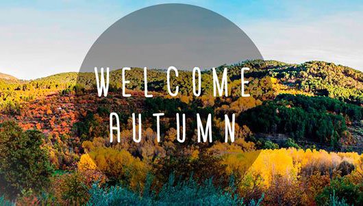 impulsa360's tweet photo. https://t.co/GRX5DhYCbJ Disfruta del Otoño!! Virtual Tour El Arenal @Arenalavila #avila #surdegredos #castillayleon https://t.co/S4zHzZeg5p
