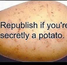 Potato2Send's tweet image. No one online knows your a potato O.O