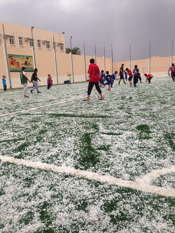 ����� ���� �������