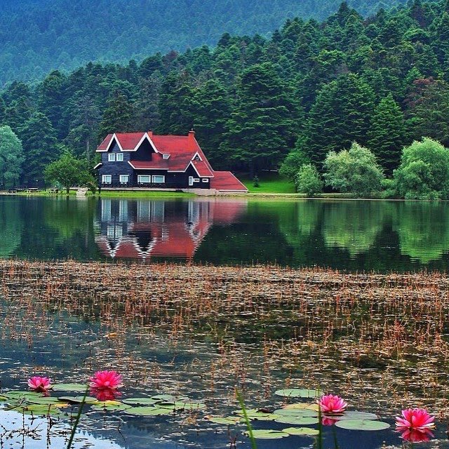 نزار الشهري (@nezr2000) on Twitter photo 