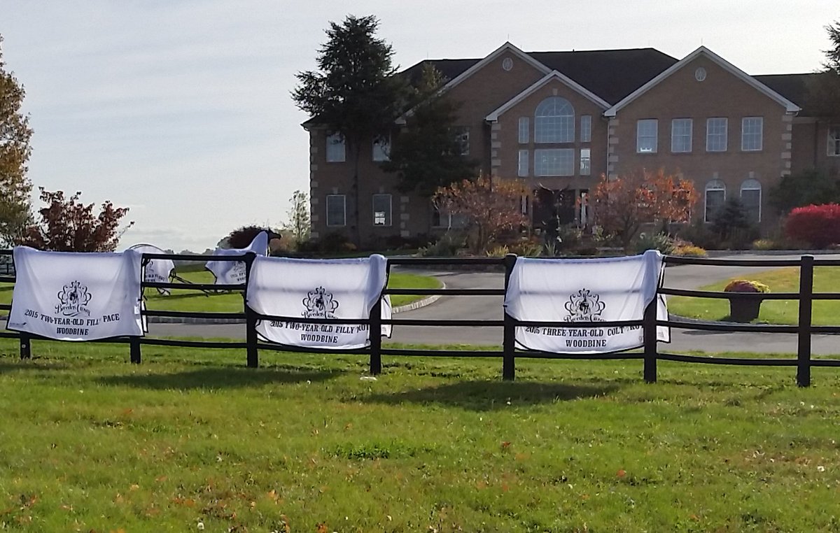 Breeders_Crown's tweet photo. Quite the display of #Crown15 trophy blankets @JimmyTakter farm. @WoodbineRacing https://t.co/5w442XaJVb