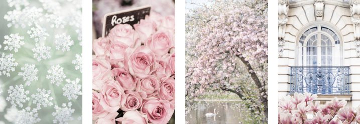 LovelyClusters's tweet image. Travel and Floral Fine Art Photography Prints and Canvases from @georgiannalane lovelyclusters.com/search/label/S… #floralphoto