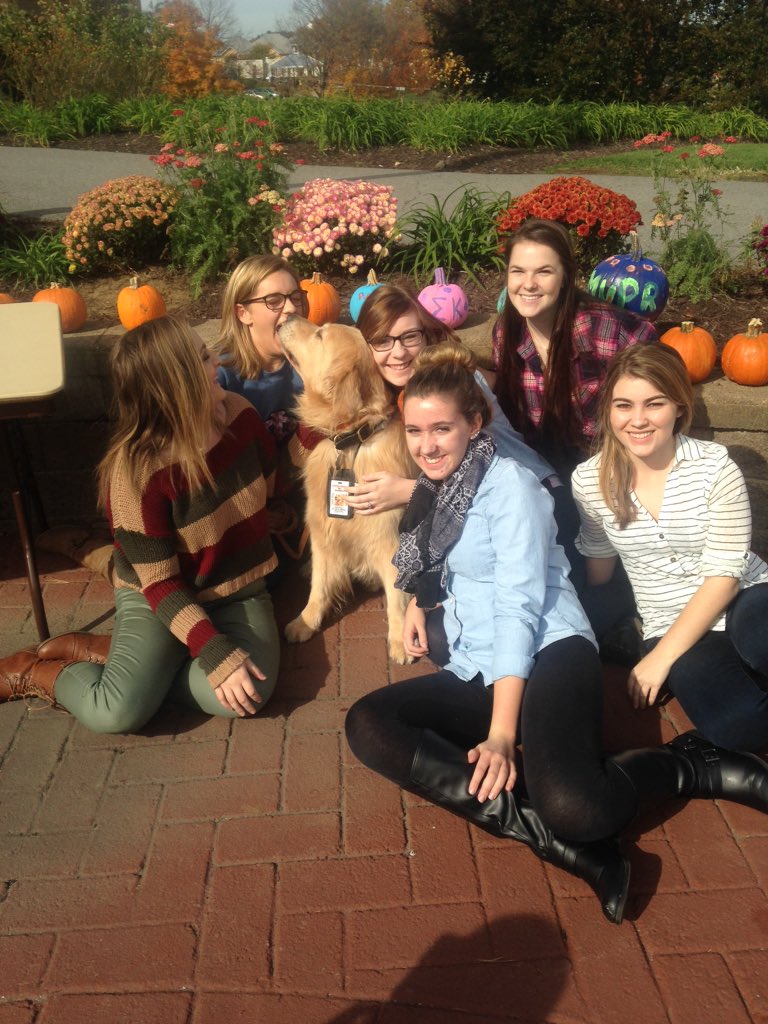 i_carlaaay's tweet photo. Puppy loving #RMUPR https://t.co/x75K0pmUQt